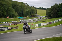 Lower Group Black Bikes